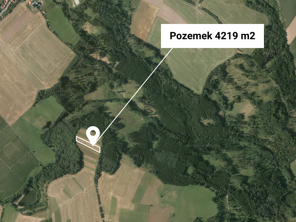 Prodej pole 4219 m²